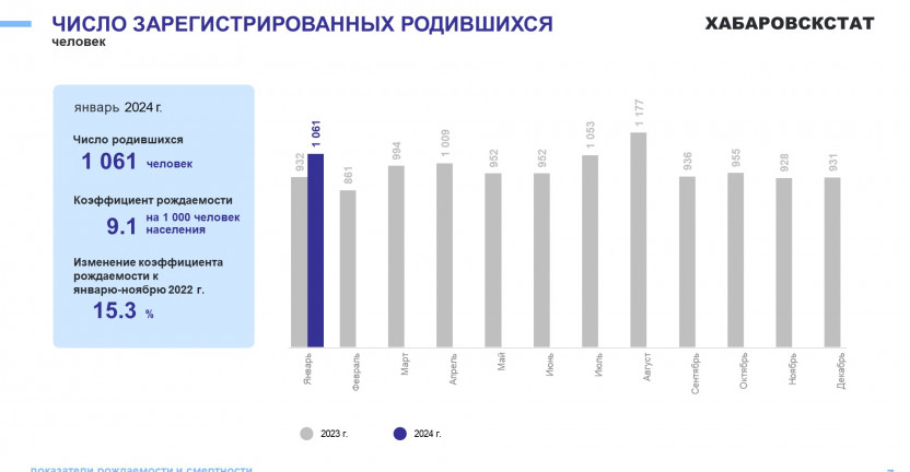 Демографические показатели Хабаровского края за январь 2024